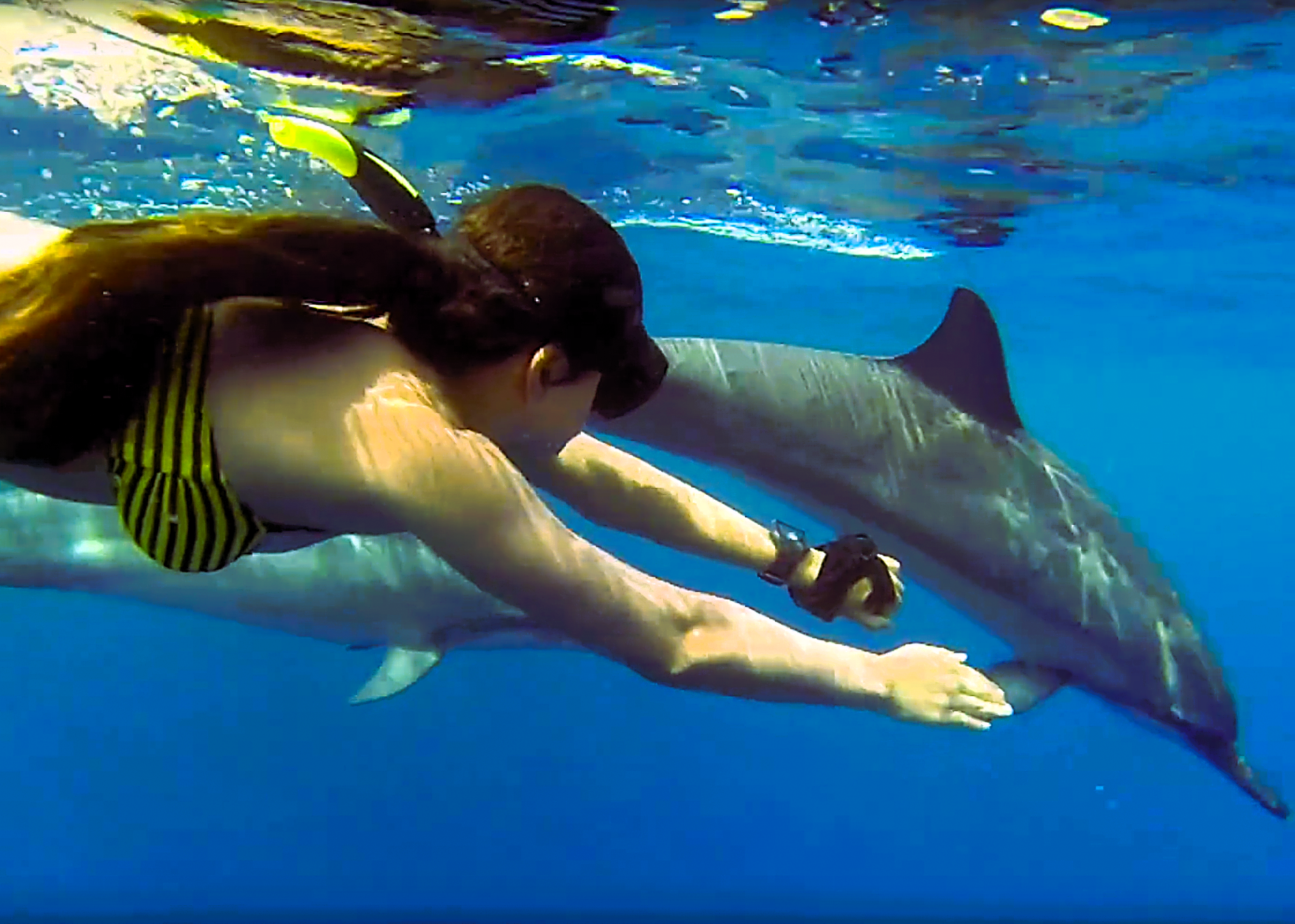 Kizimkazi Dolphin Tour