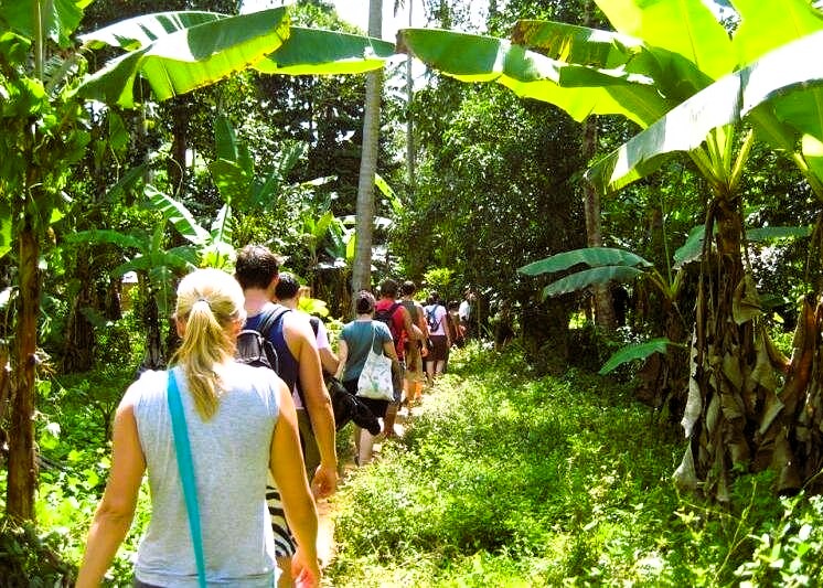 Spice Farm Tour Image 2